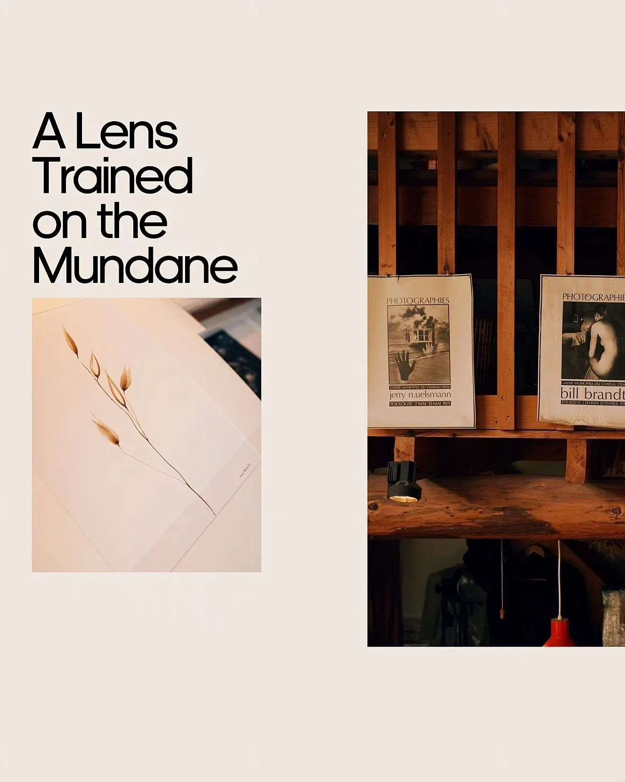 Poster with the text 'A Lens Trained on the Mundane' and two photographs, one of dried plants and another of photographic prints on a wooden shelf.