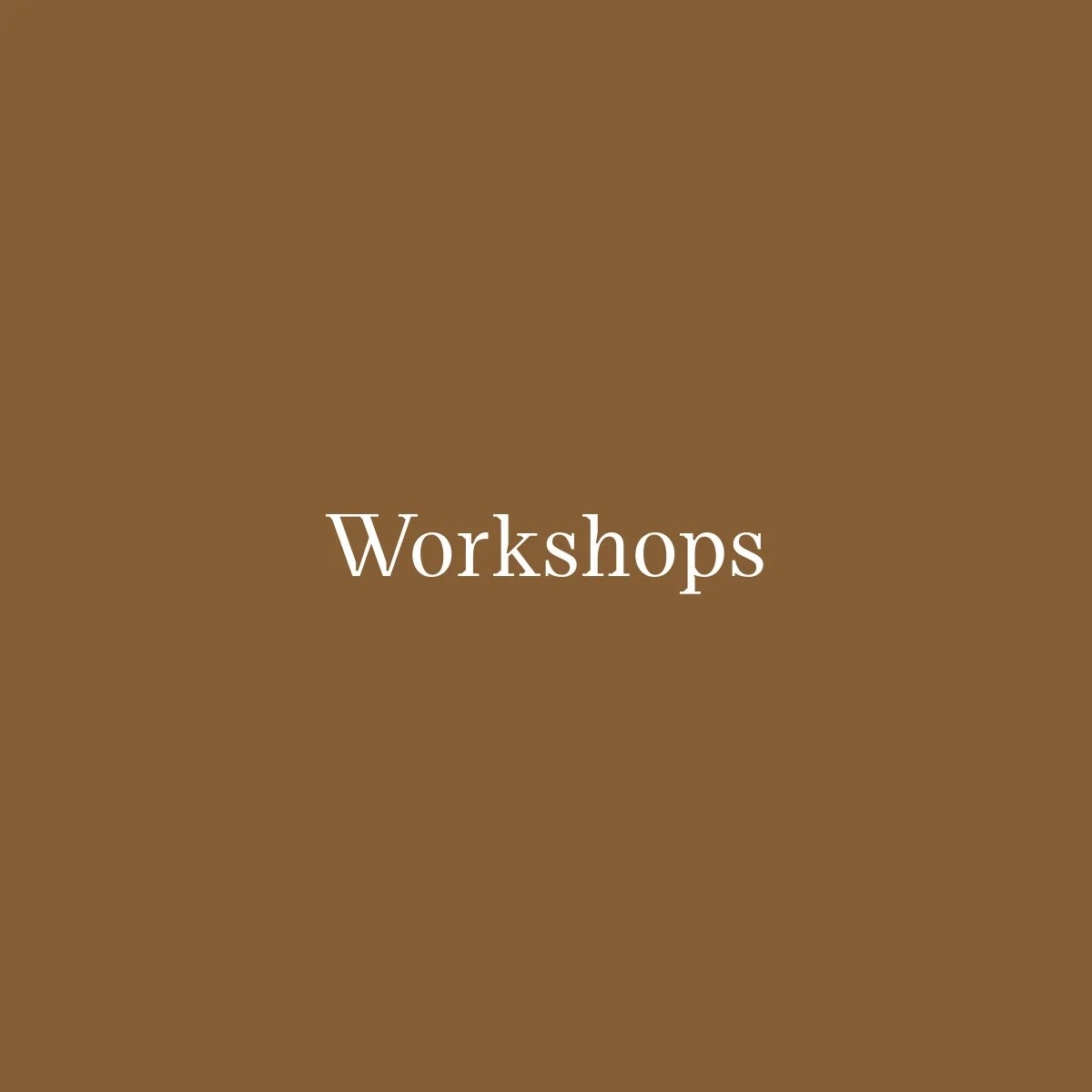 Brown background with white text that says 'Workshops'.