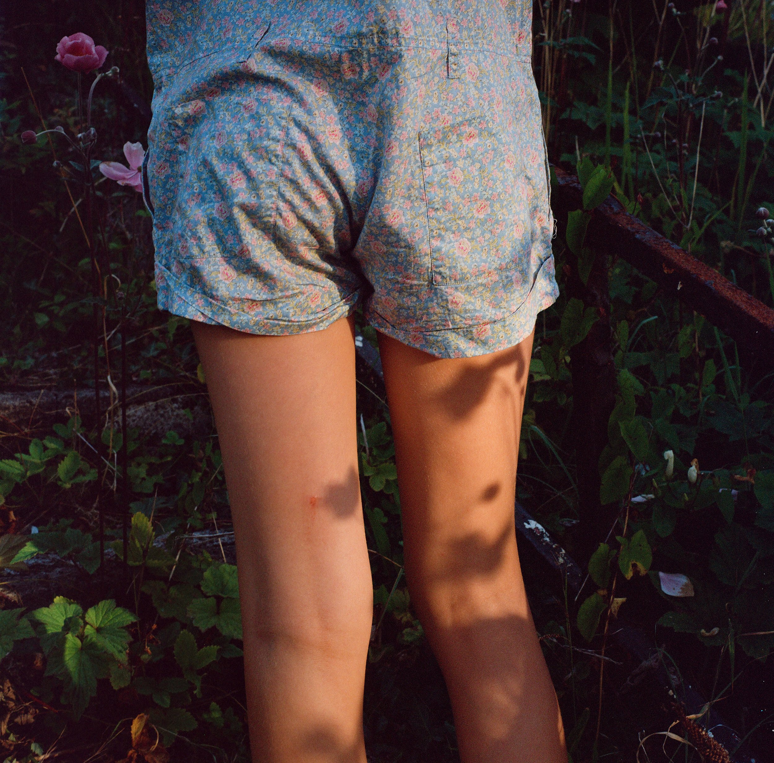 dkilfeather provence 15.jpg