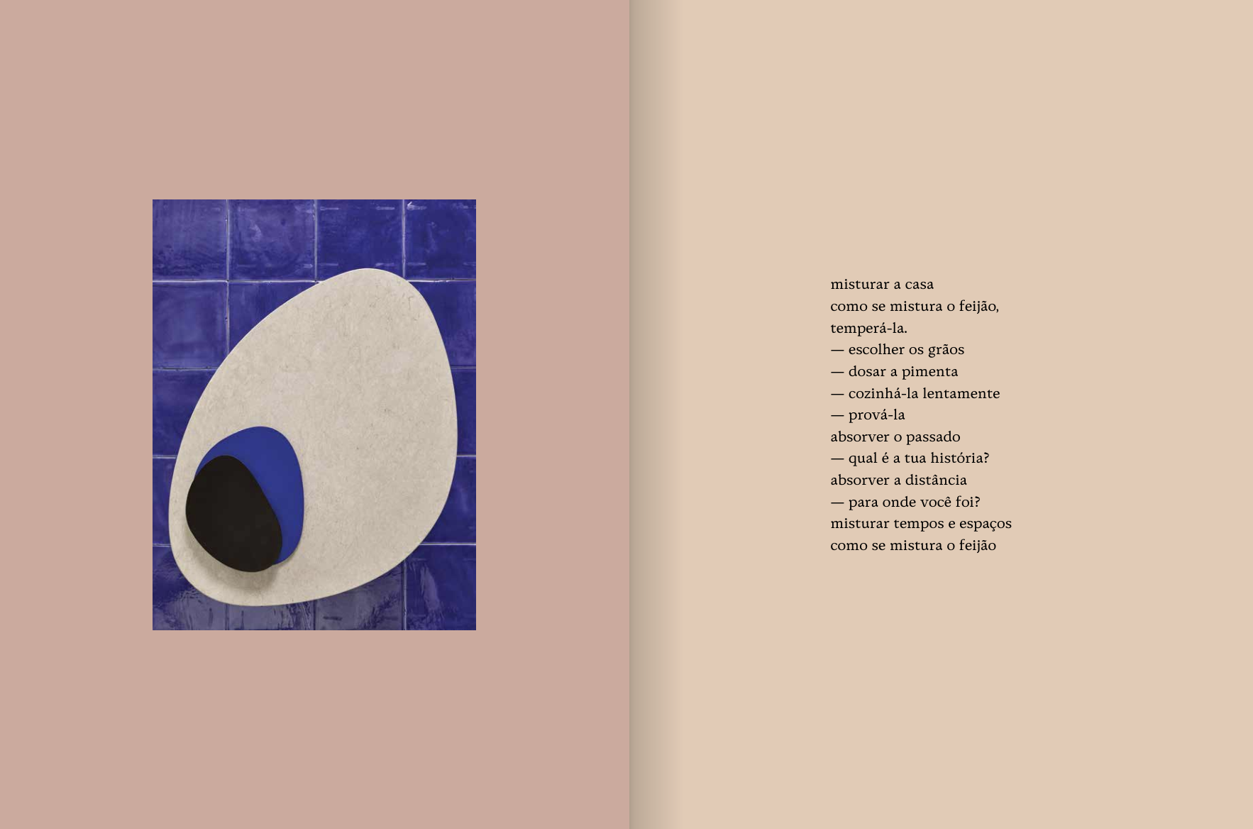 livro8.png