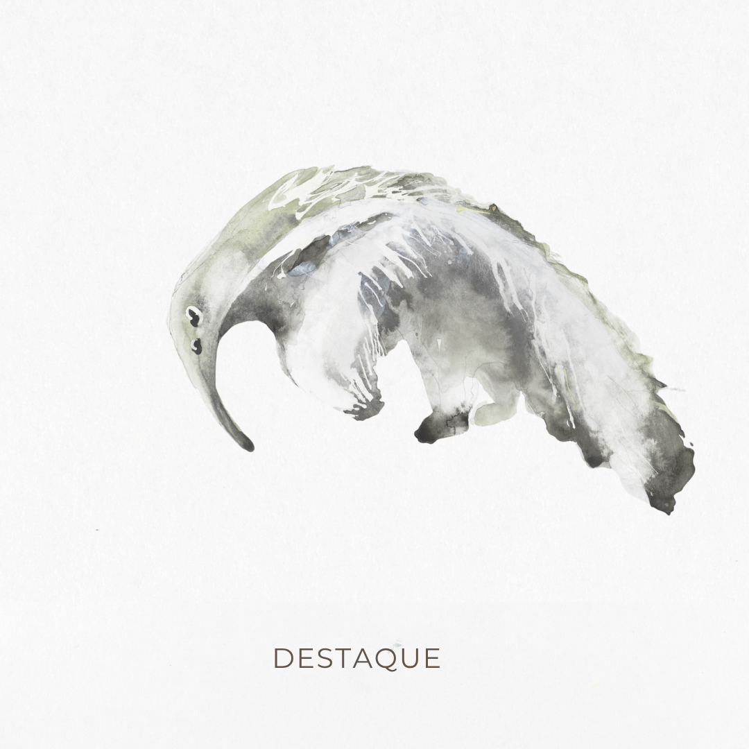 destaque