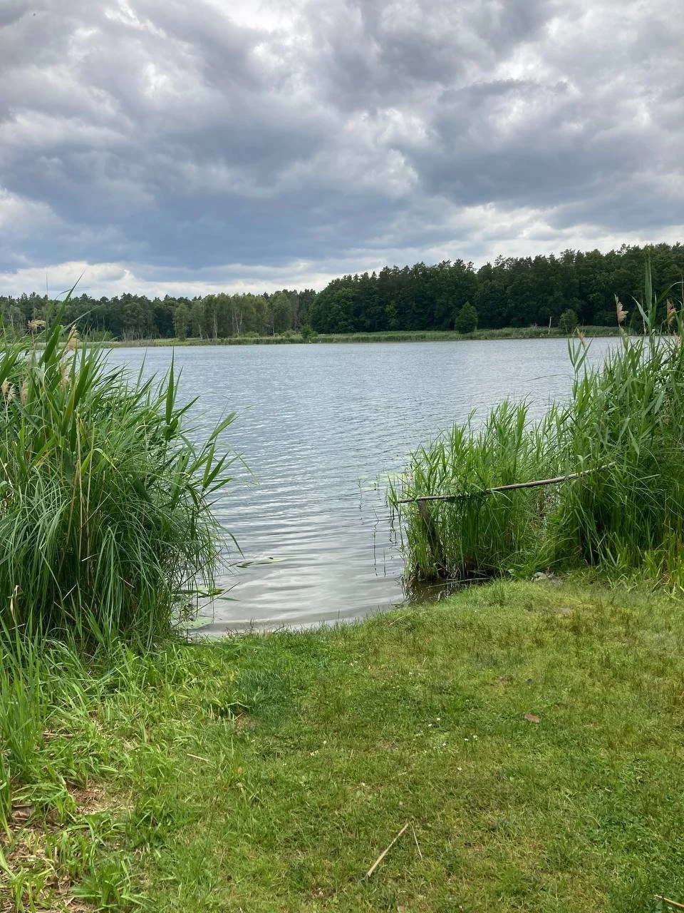 photo_2026-03-25 20.50.51.jpeg