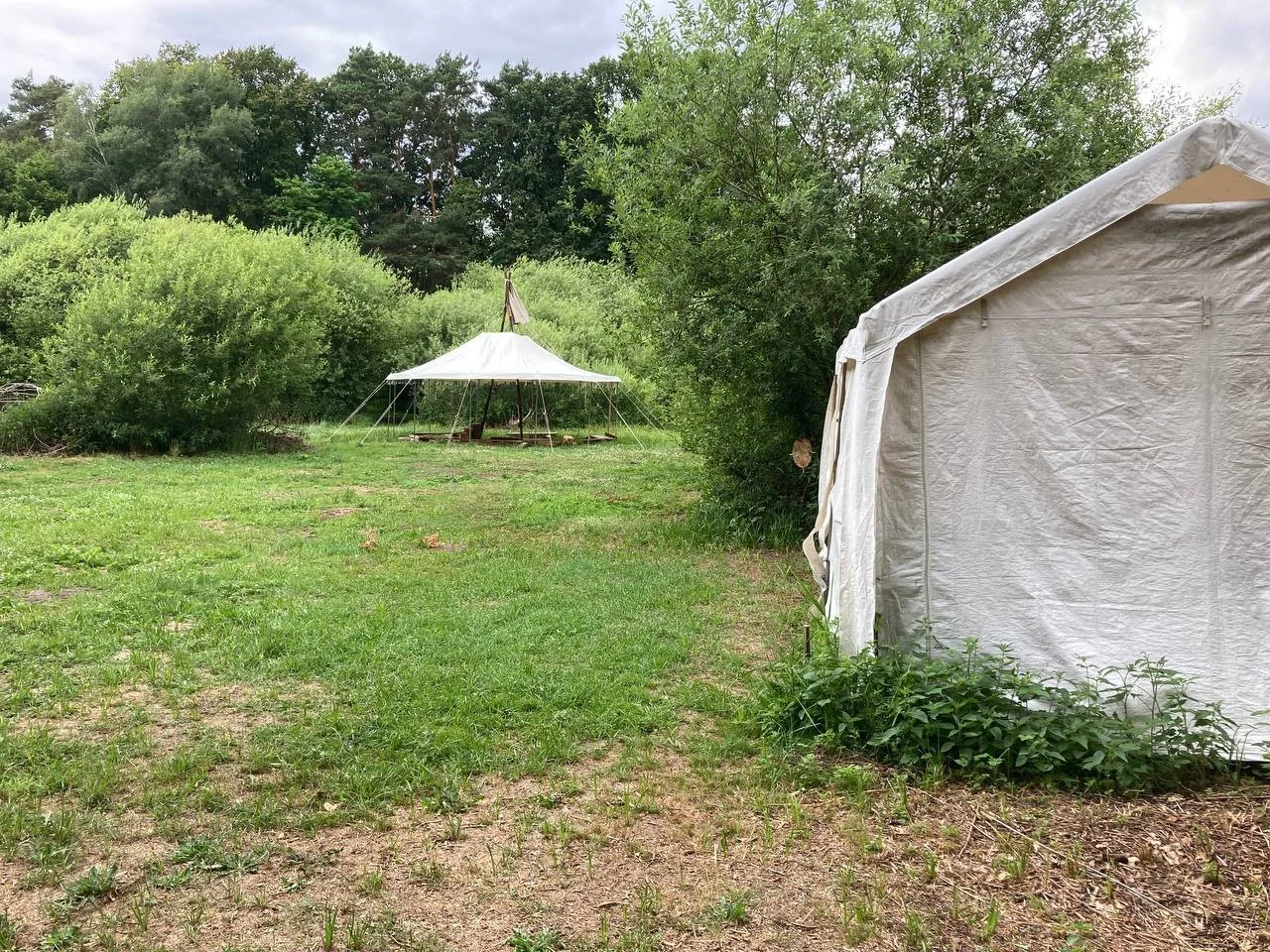 photo_2026-03-25 20.51.16.jpeg