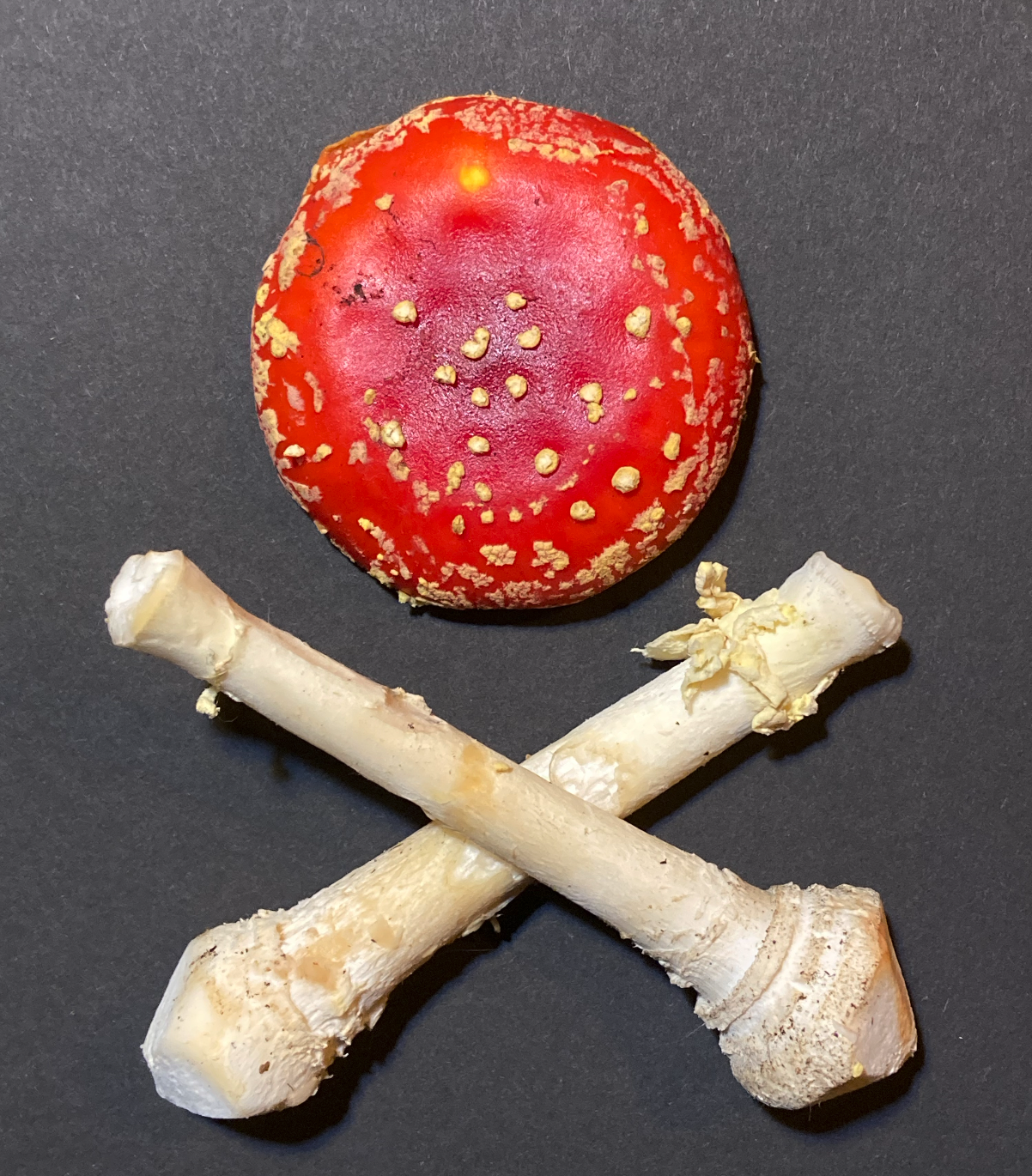 Bildschirmfoto 2026-01-14 um 20.20.01.png