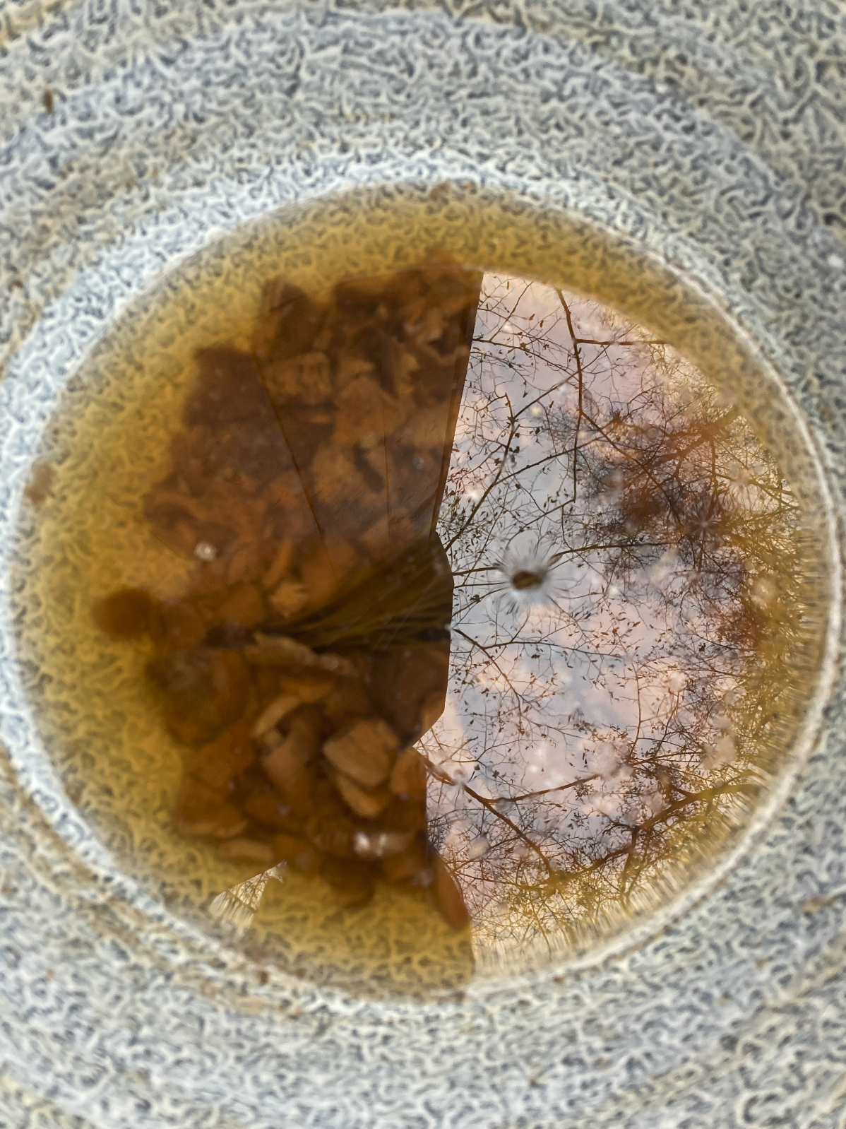 Bildschirmfoto 2026-01-14 um 20.21.56.png