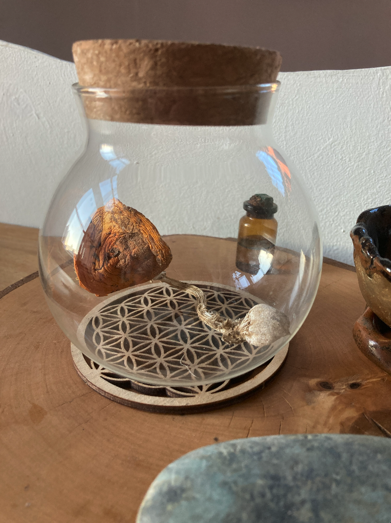 Bildschirmfoto 2026-01-14 um 20.49.18.png