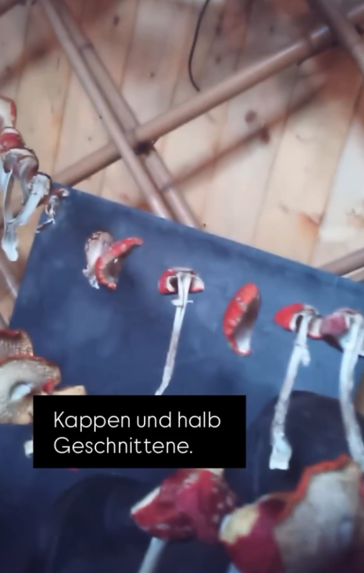 Bildschirmfoto 2026-01-14 um 20.50.02.png