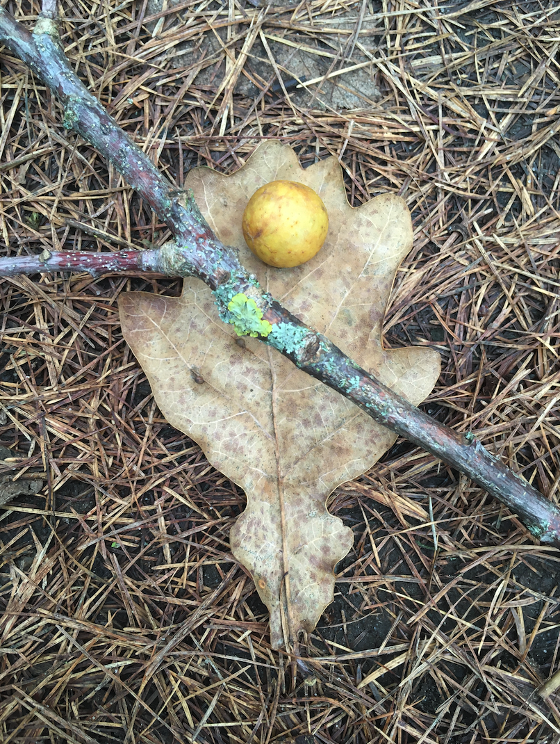 Bildschirmfoto 2026-01-14 um 20.48.38.png