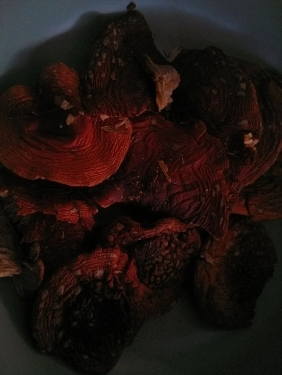 photo_2026-03-25 20.54.35.jpeg