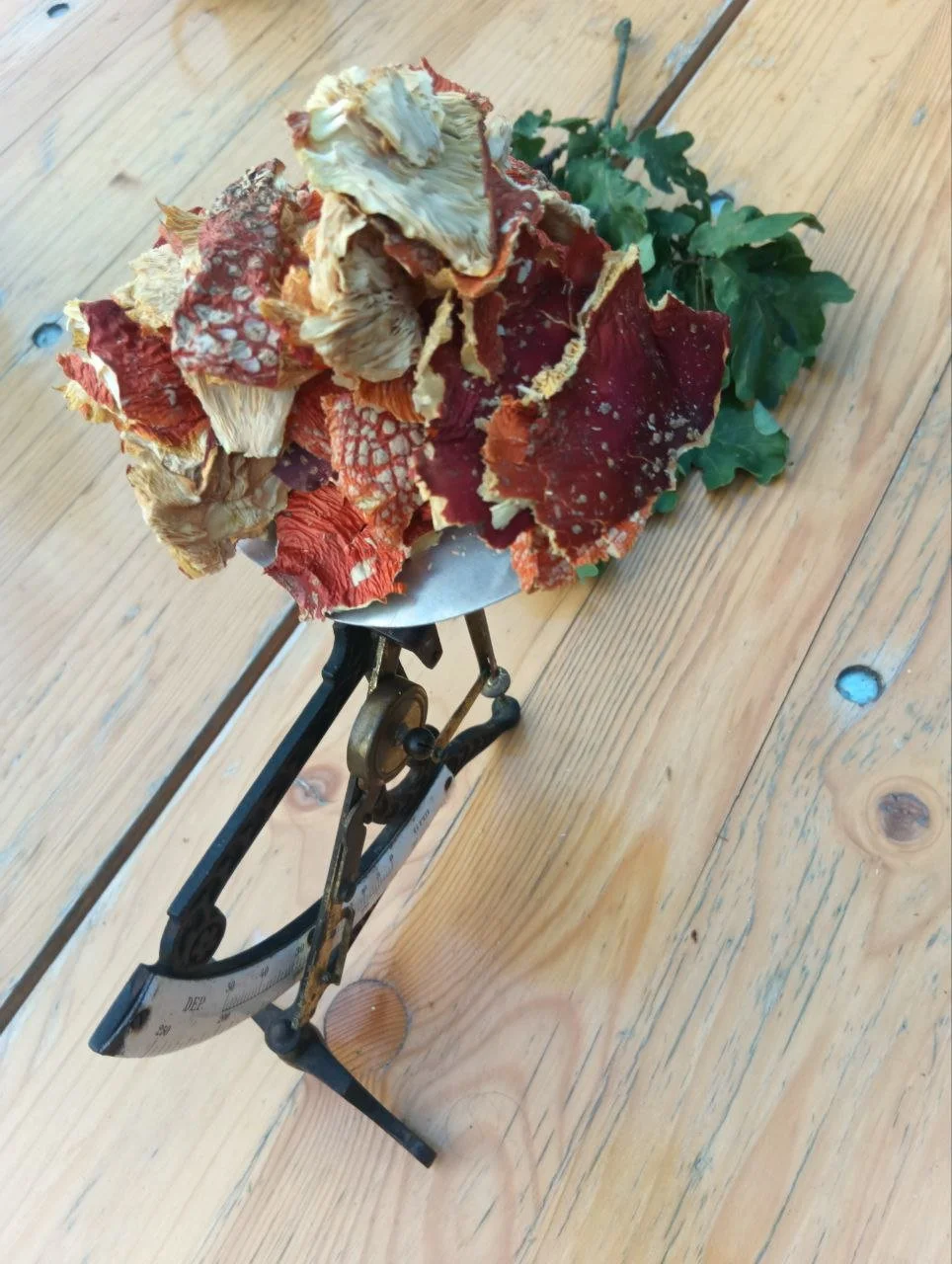 photo_2026-03-25 20.54.46.jpeg