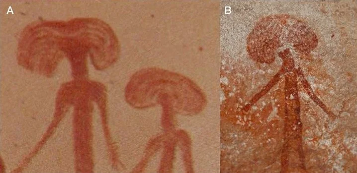 Mushroom-head-depiction-shared-by-Sandawe-A-and-Bradshaw-B-cultures-Extant-Sandawe.jpg