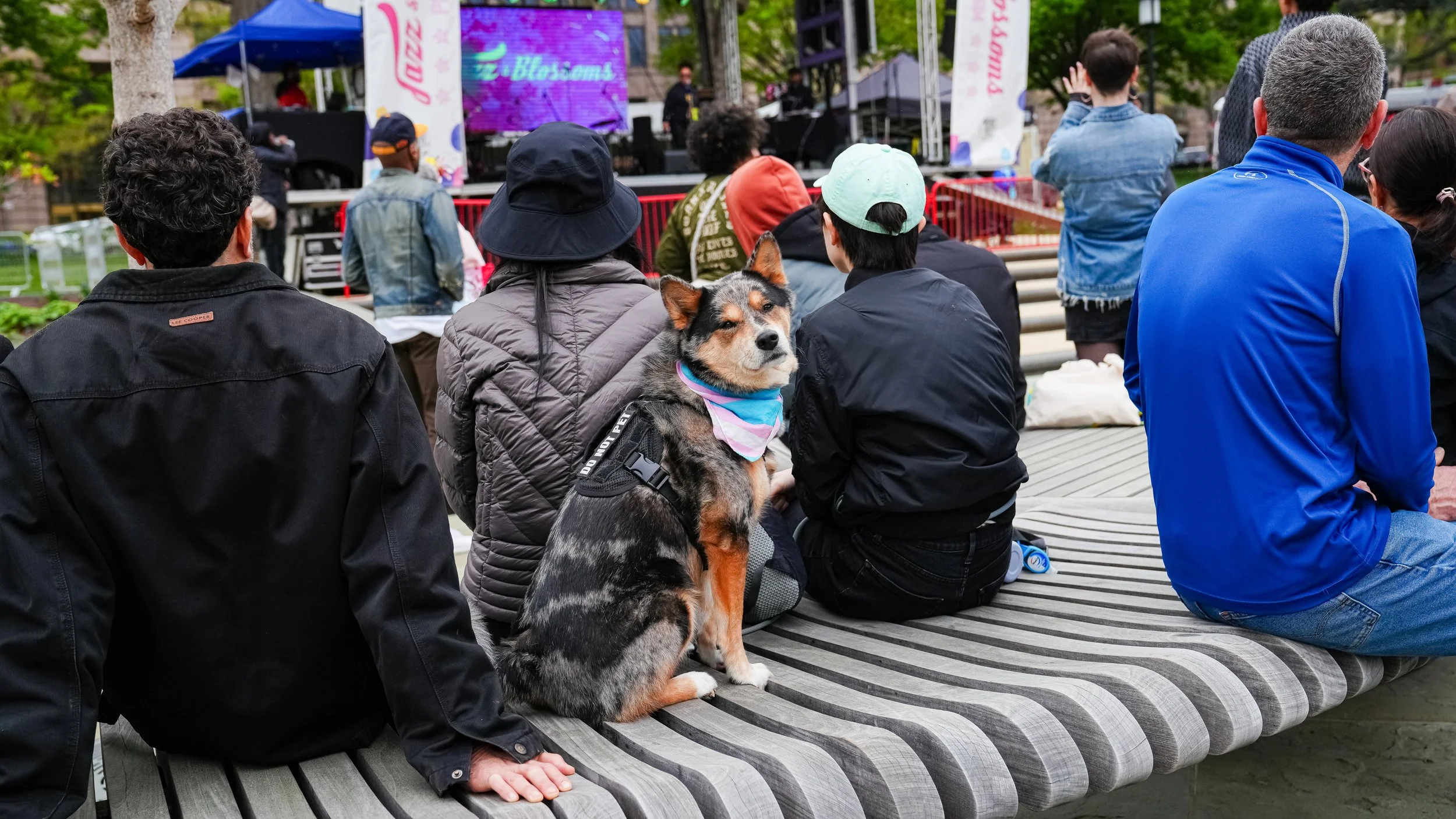 2025_4_6_DowntownDC_JazzAndBlossoms-361.jpg