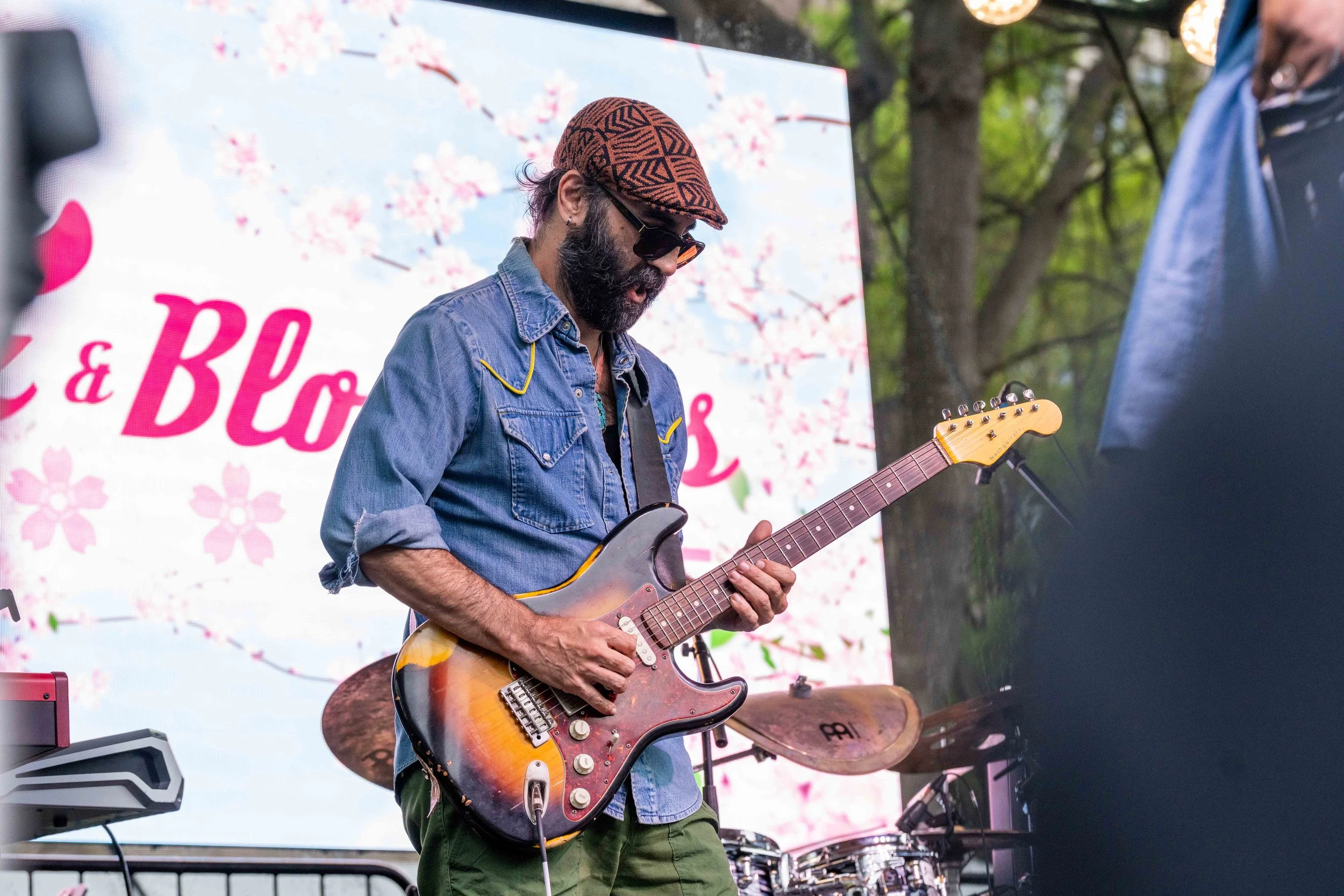 DCJazzBlossoms-1352.jpg