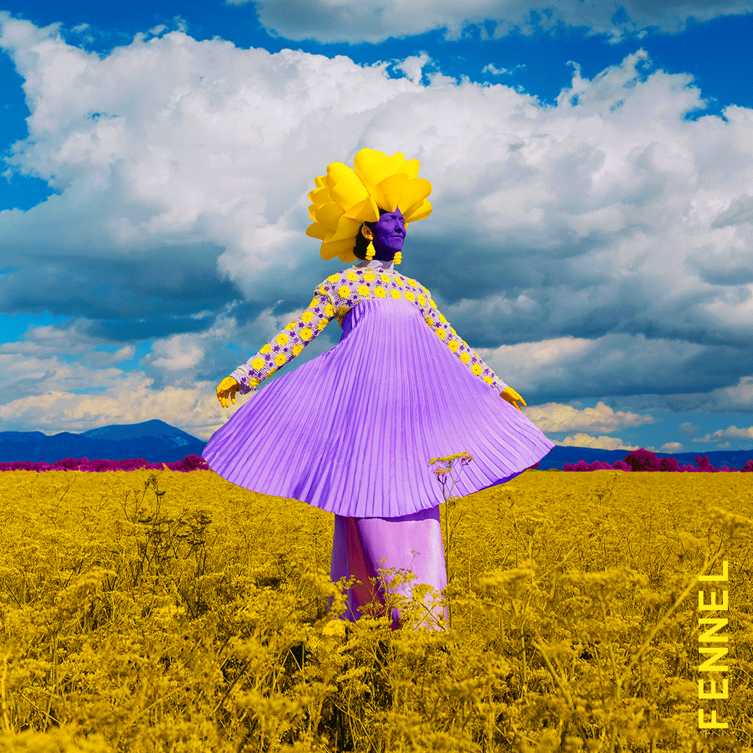 CarteBlanche_Fennel.gif