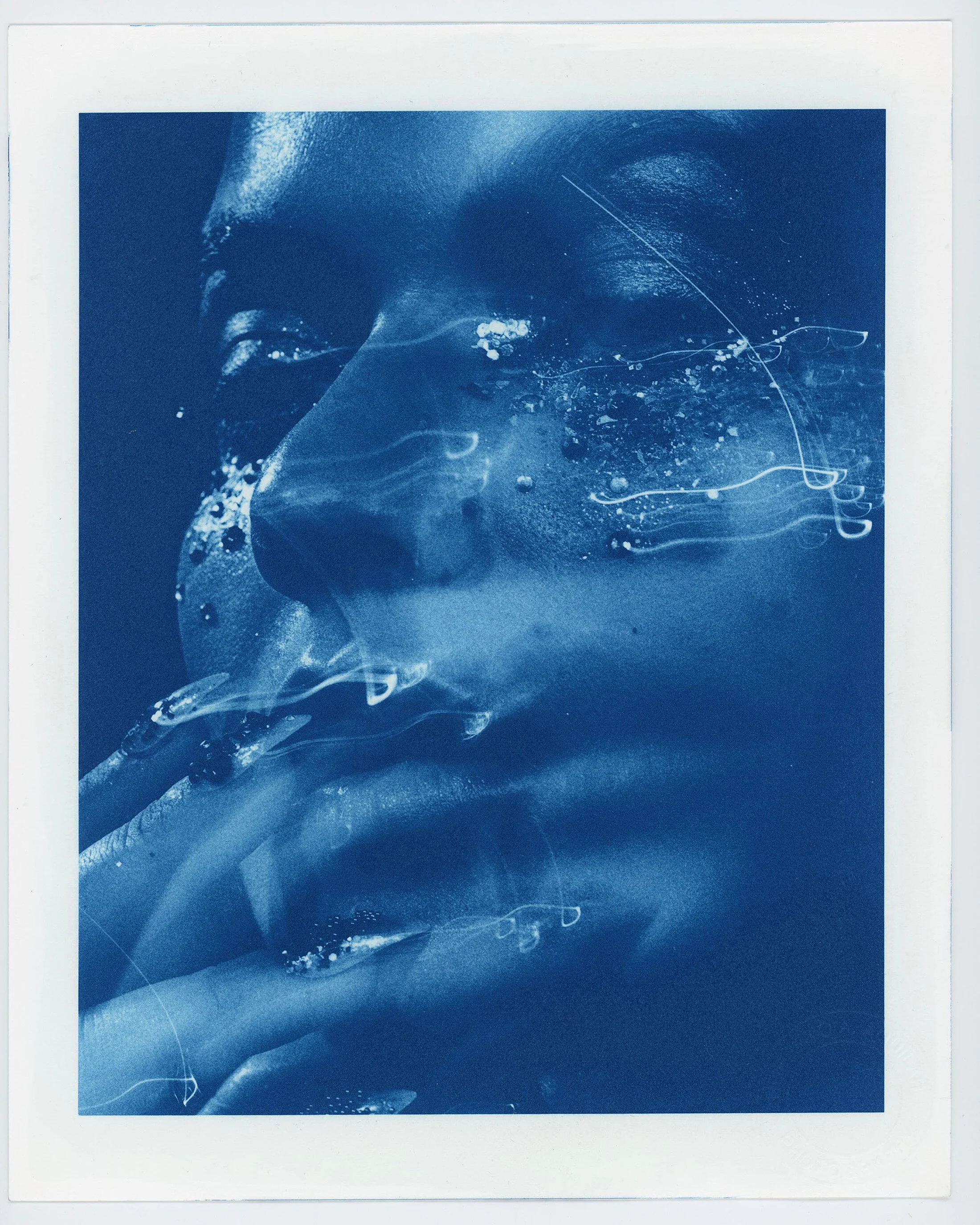 Cyanotype / Vandyke Brown Printing Prices Historical Alternative