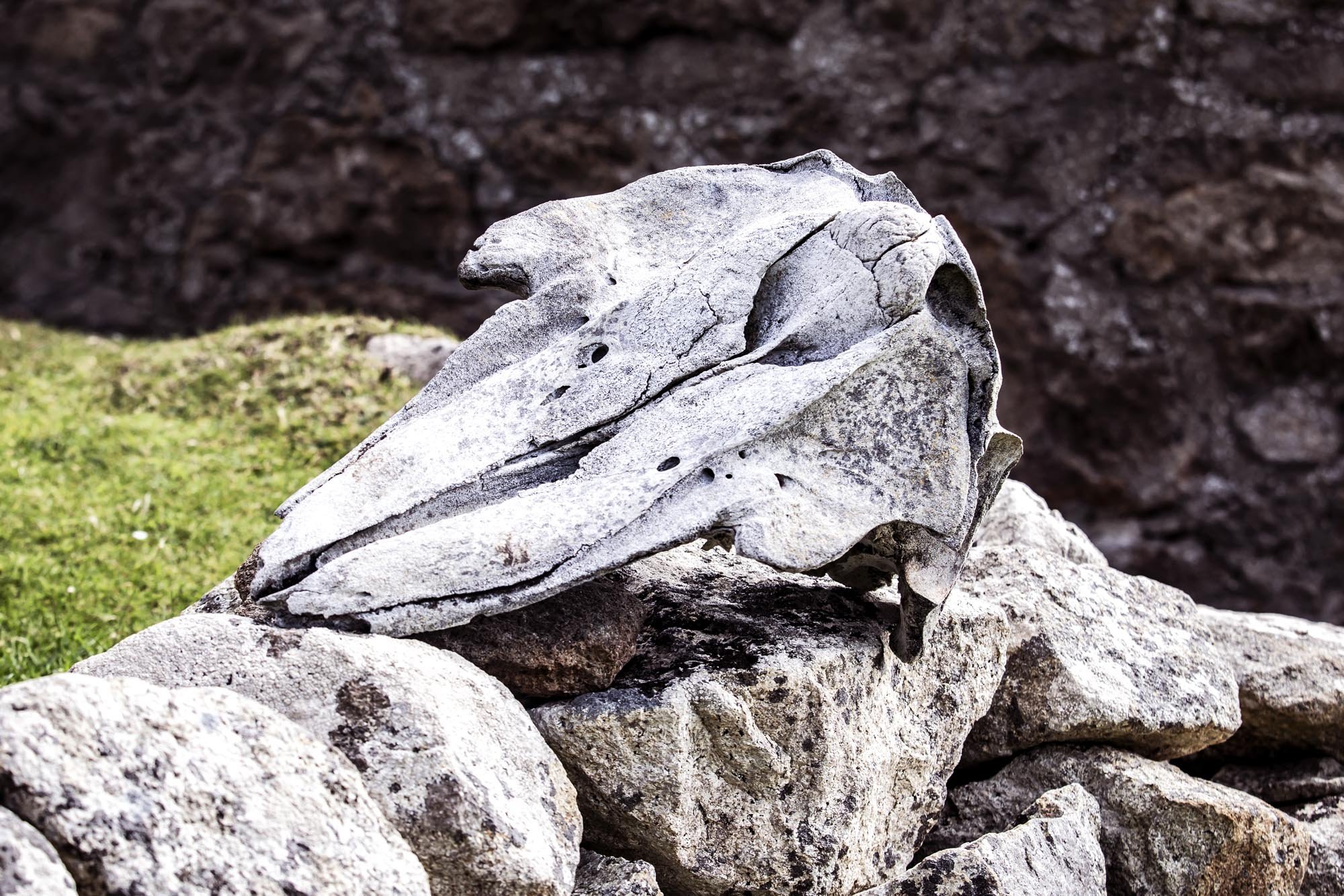 St Kilda027.jpg