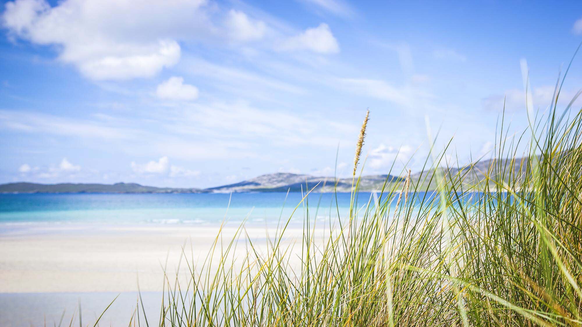 CalmacWebsite010.jpg