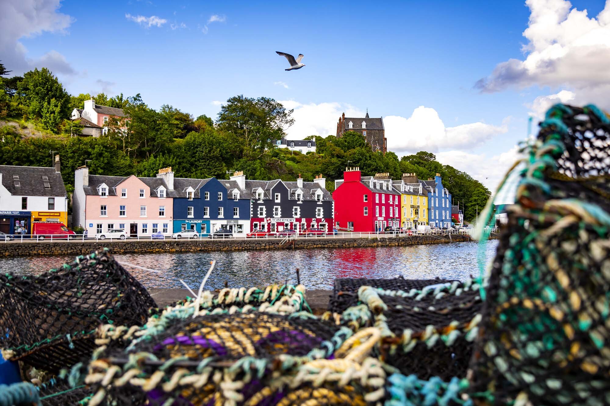 CalmacWebsite030.jpg