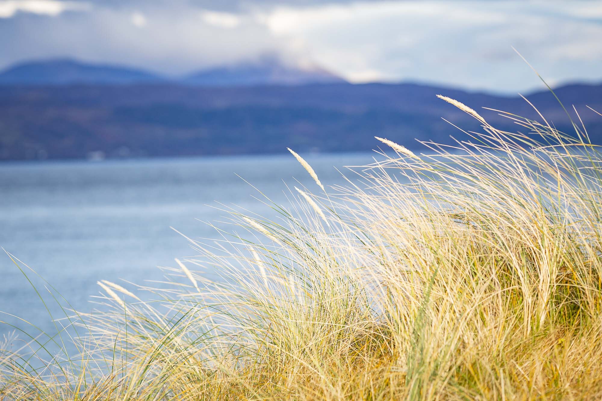 CalmacWebsite057.jpg