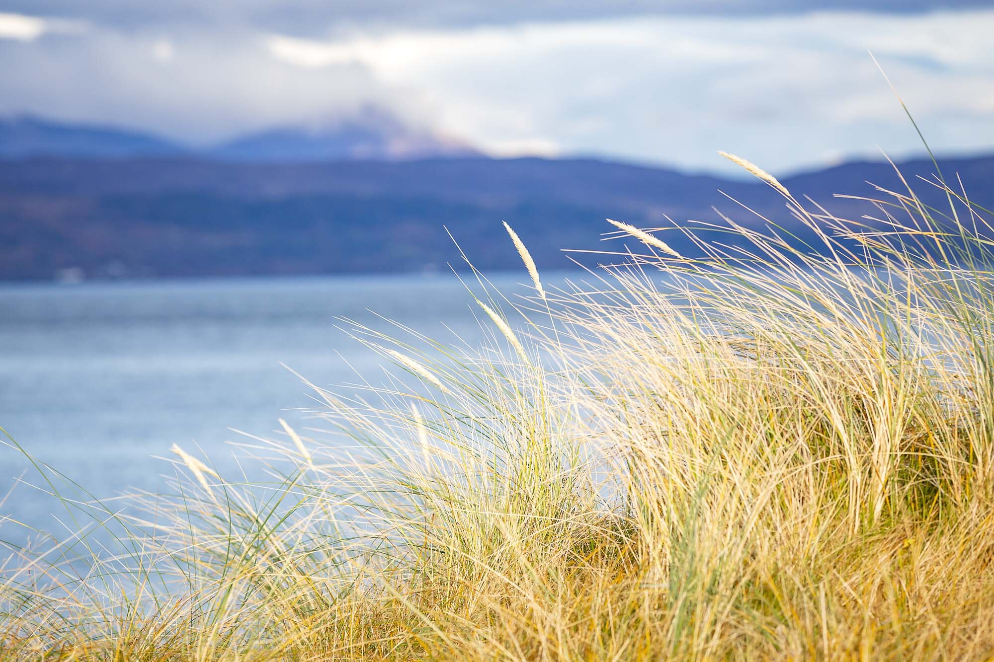 CalmacWebsite062.jpg