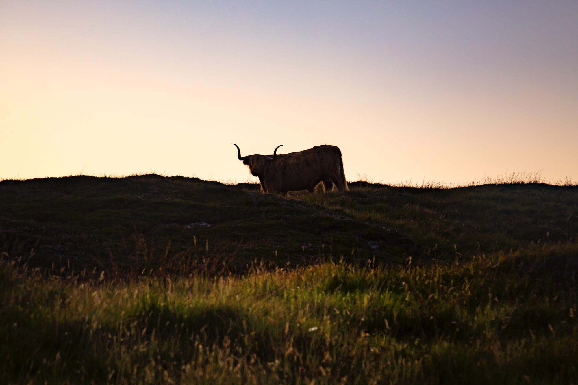 CalmacWebsite077.jpg