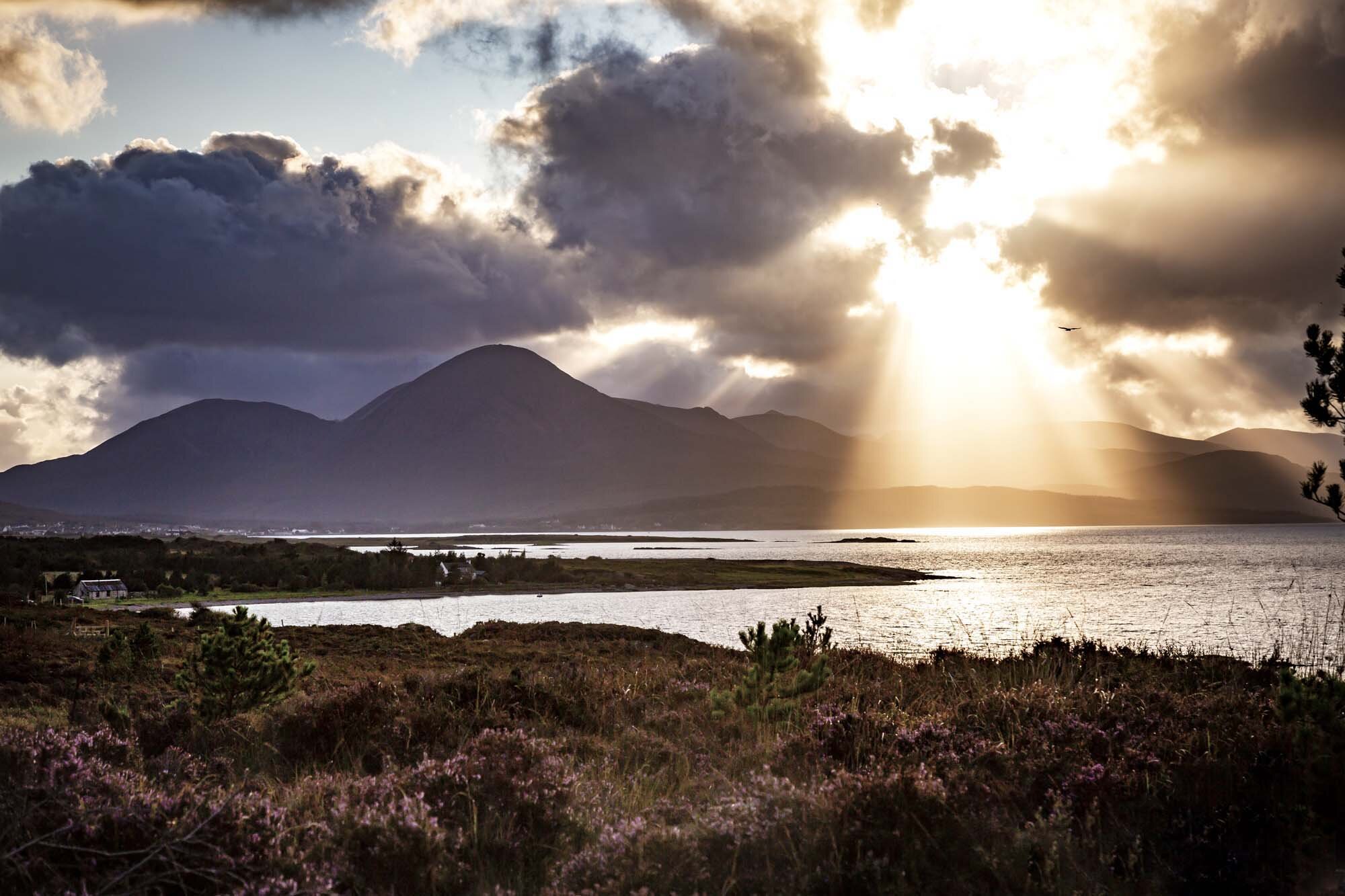 CalmacWebsite089.jpg