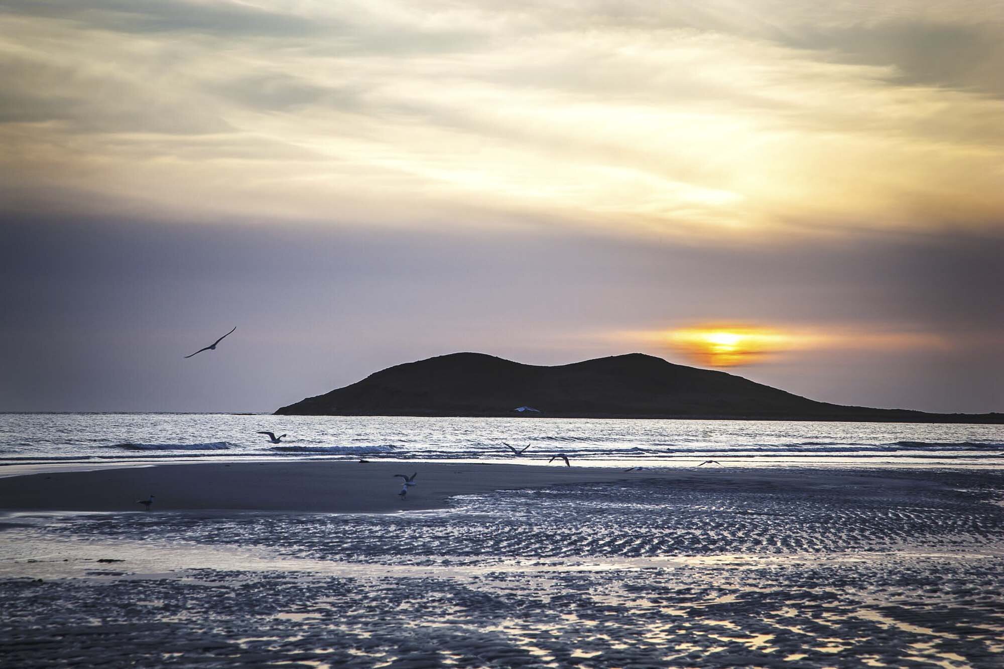 CalmacWebsite096.jpg