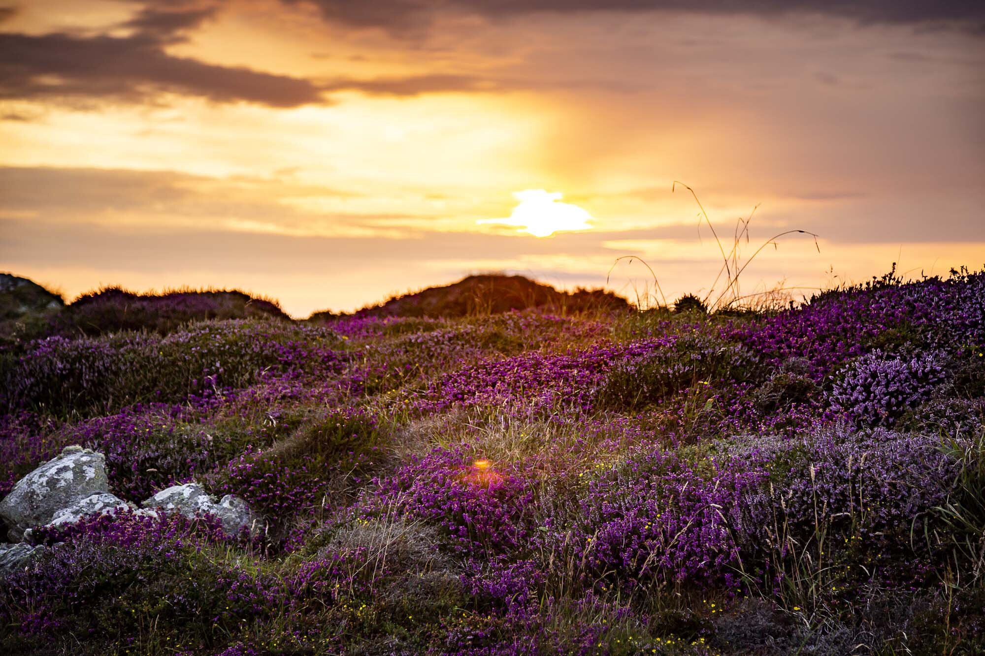 CalmacWebsite098.jpg