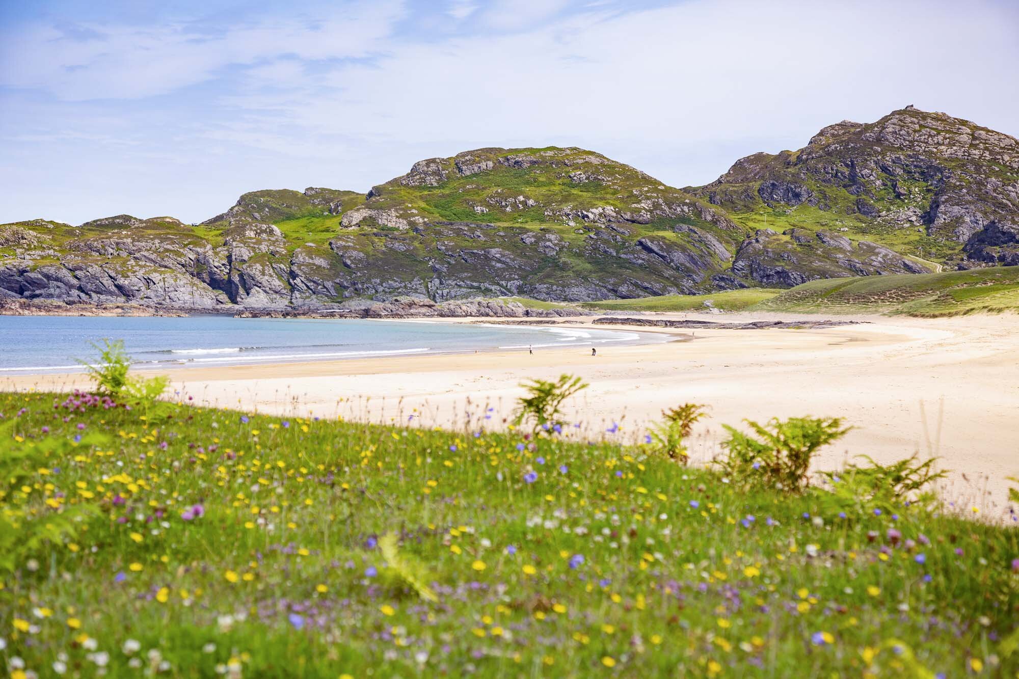 CalmacWebsite102.jpg