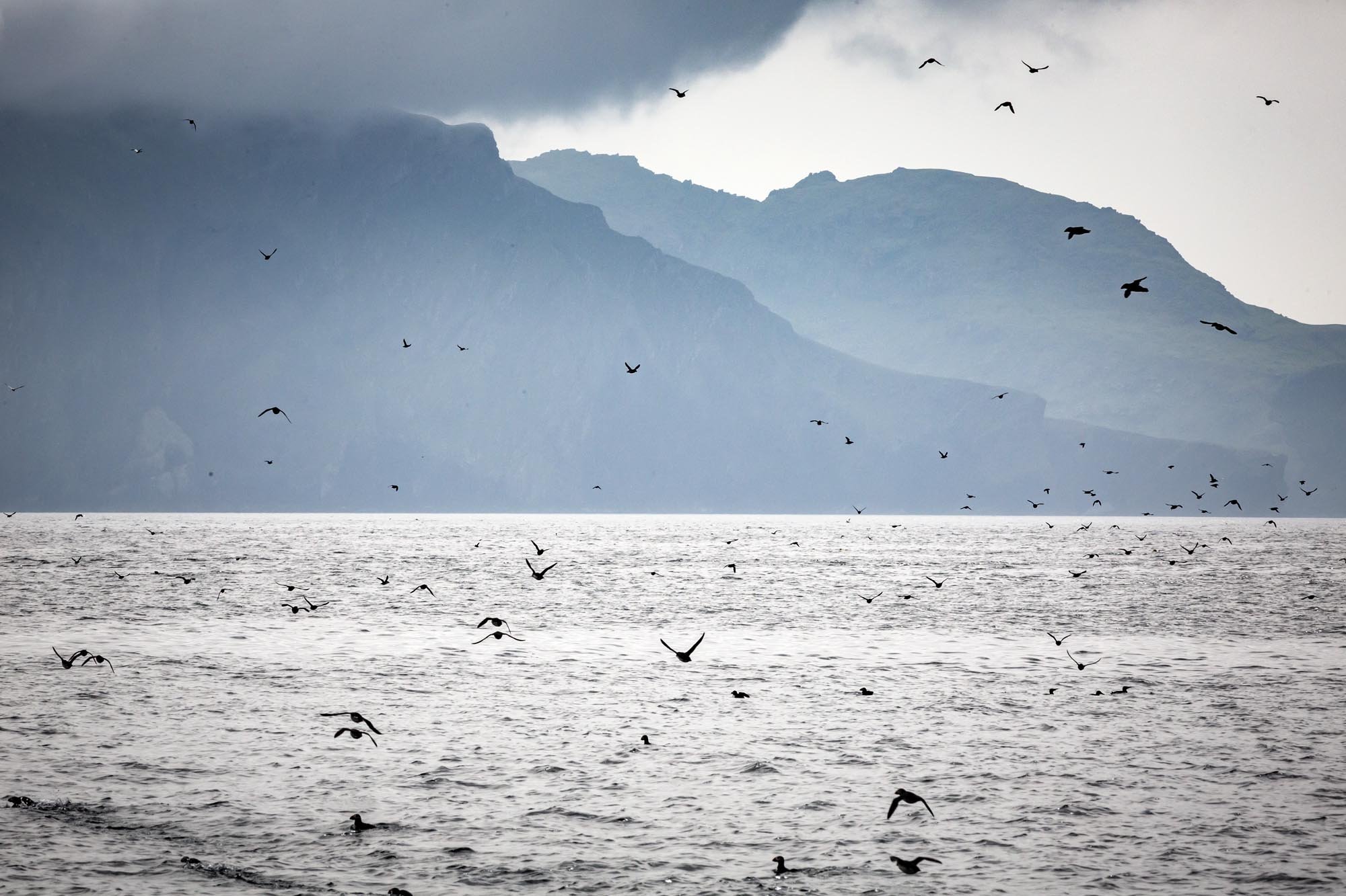 St Kilda175.jpg