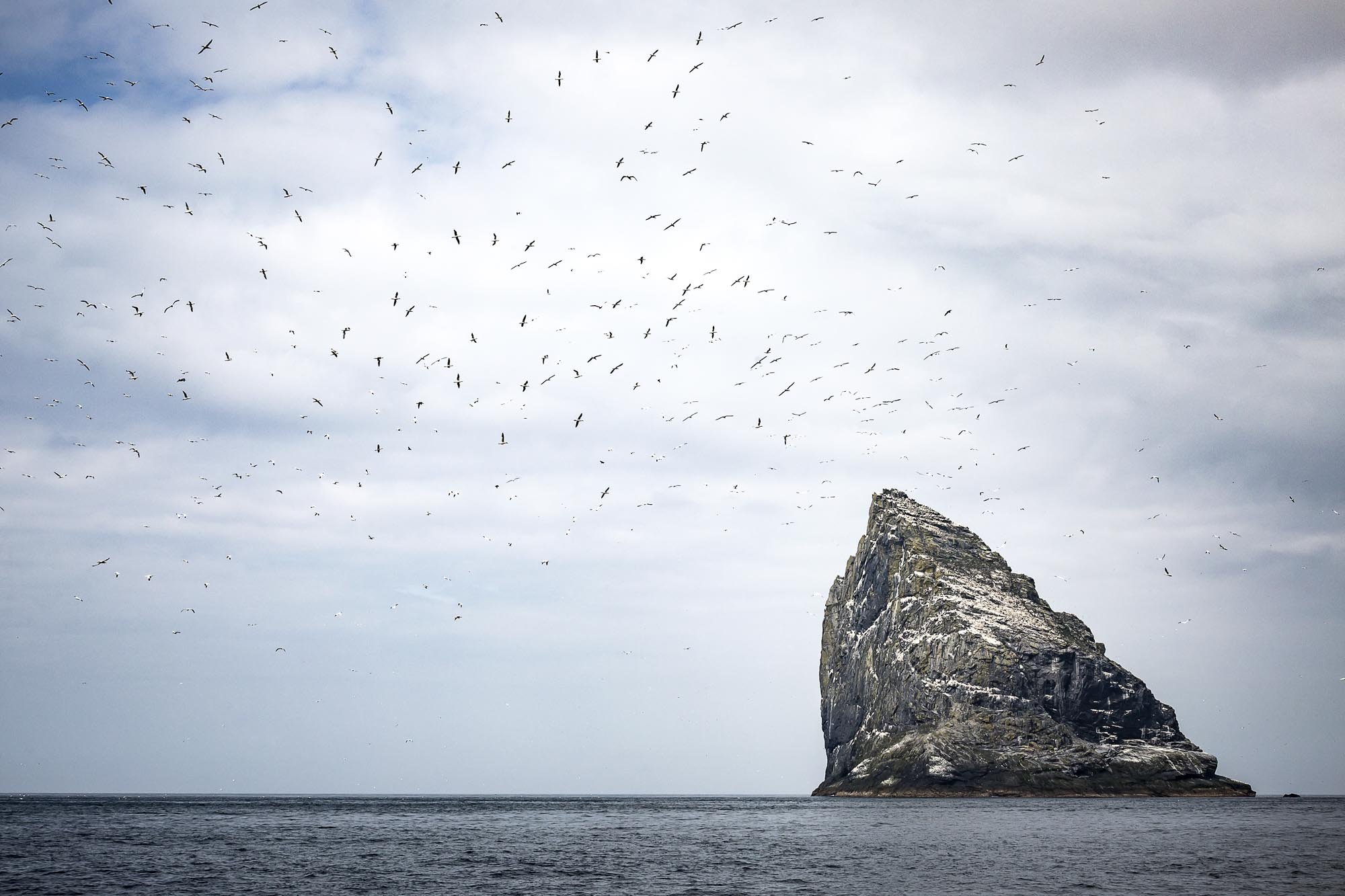 St Kilda143.jpg