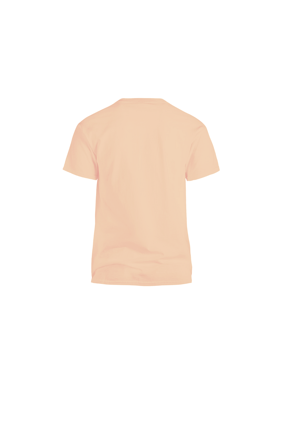 Pinky Fall Tee Back .png
