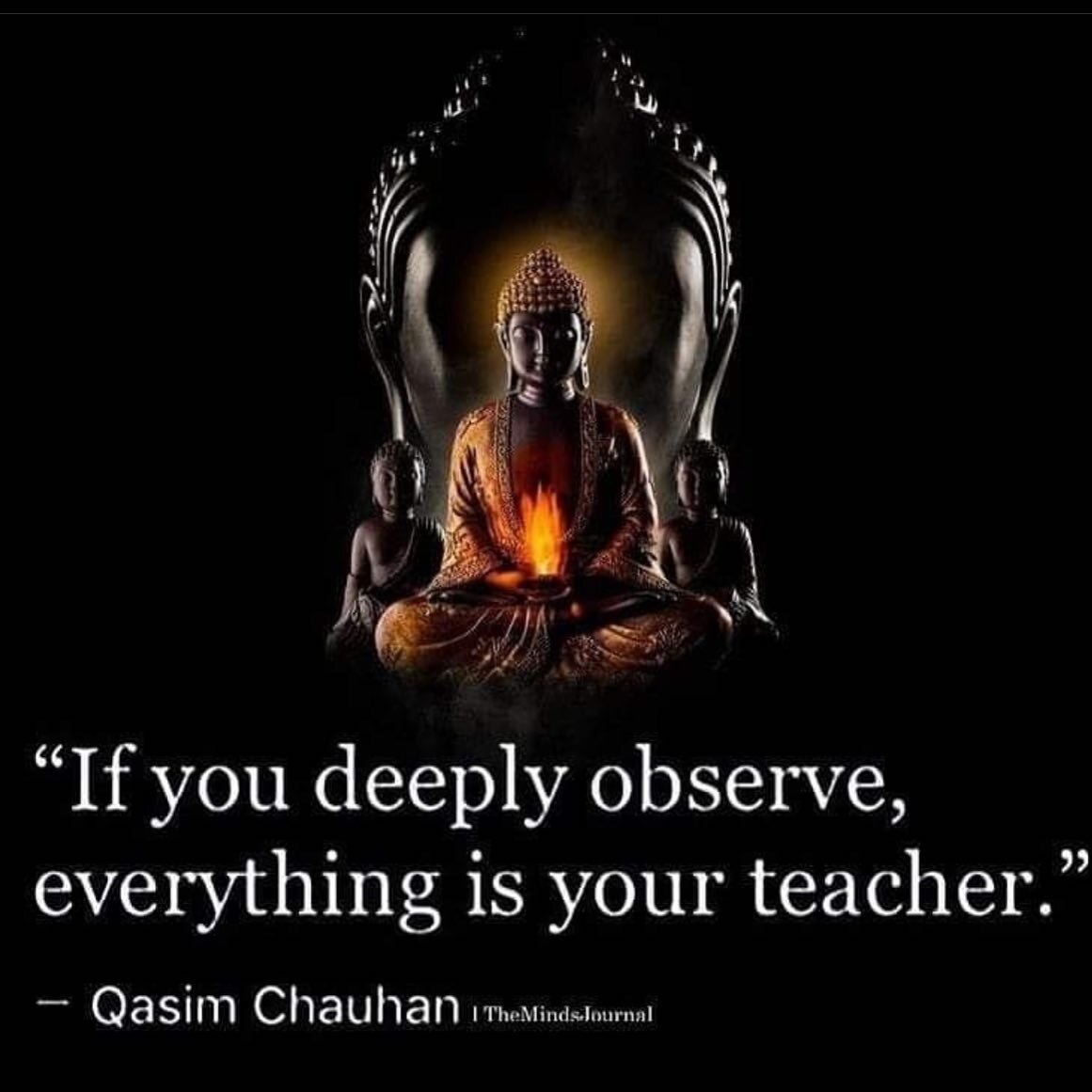 @lawofessence #dhamma #reflection #awareness #vipassana #Buddha #sngoenka #dhamma