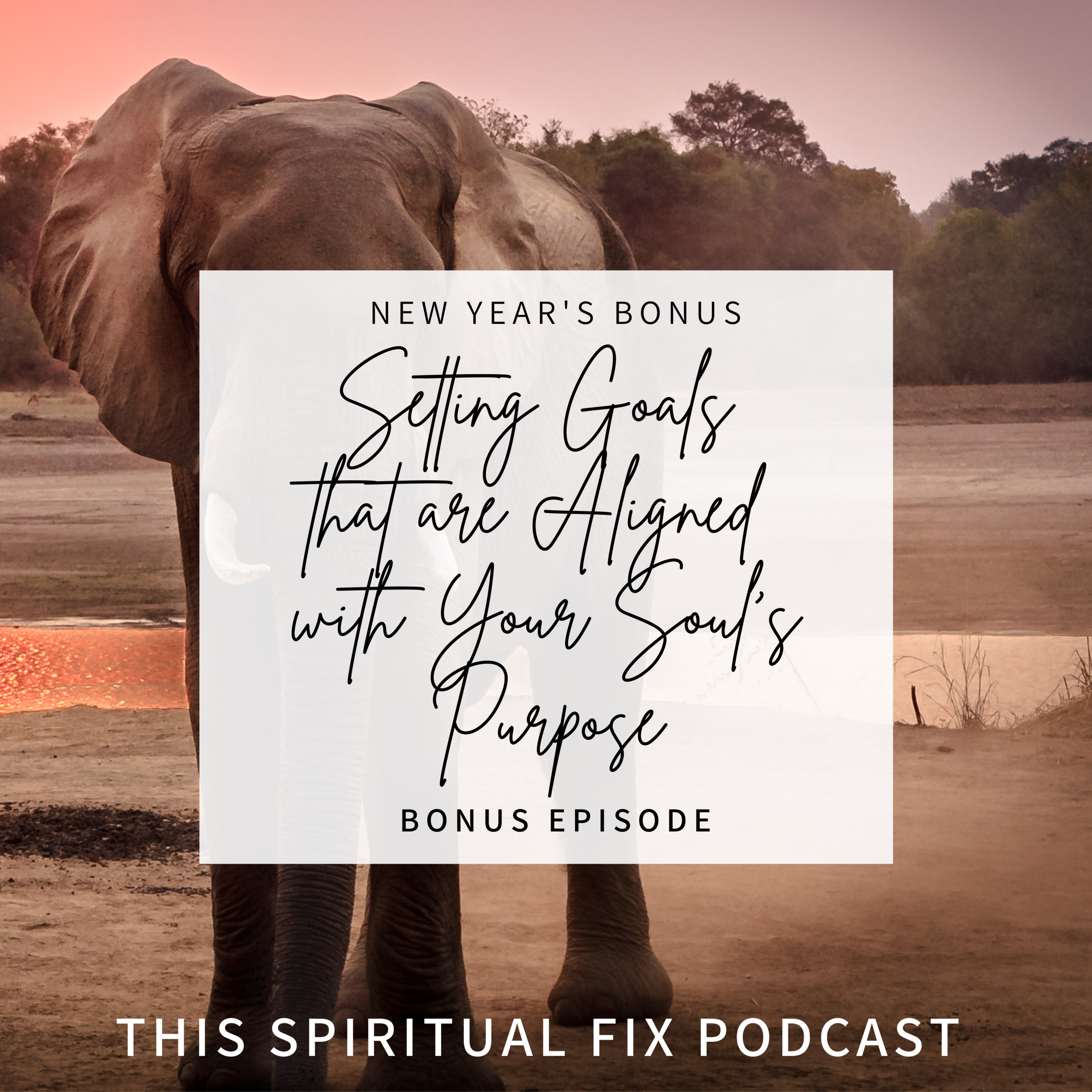Bonus #12:  New Years Special - Setting Goals That Are Aligned with Your Soul's Purpose
