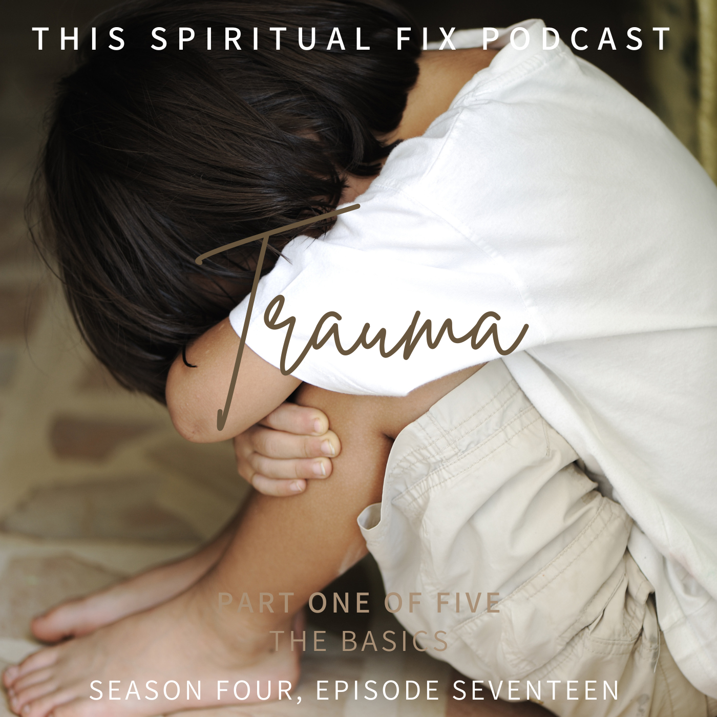  4.17 Trauma: Part One of the Trauma Series