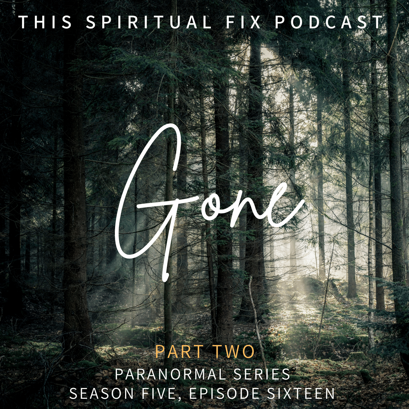 5.16 Gone: Missing 411 (Part 2 of 3 of Our Paranormal Series) 
