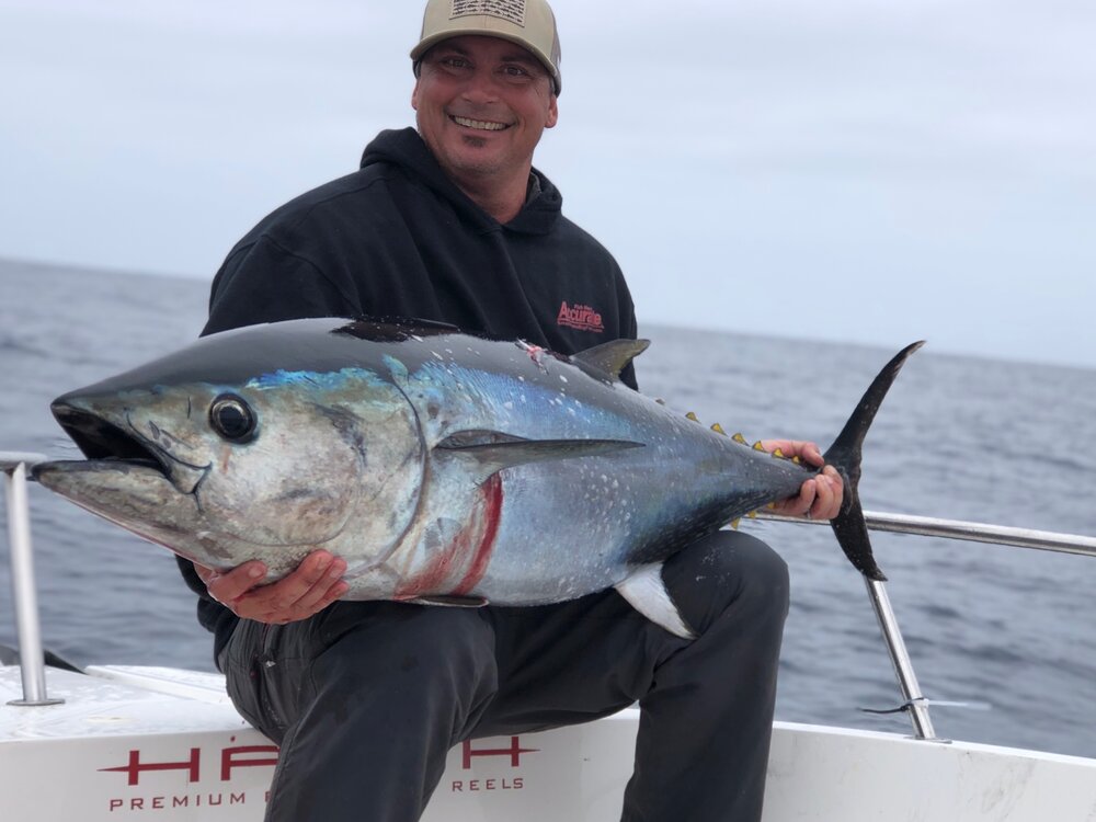 Capt. Mark with a spring bluefin caught on surface iron.
