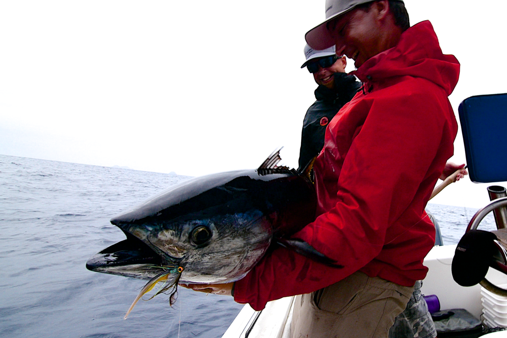 The nicer grade Yellowfin tuna.