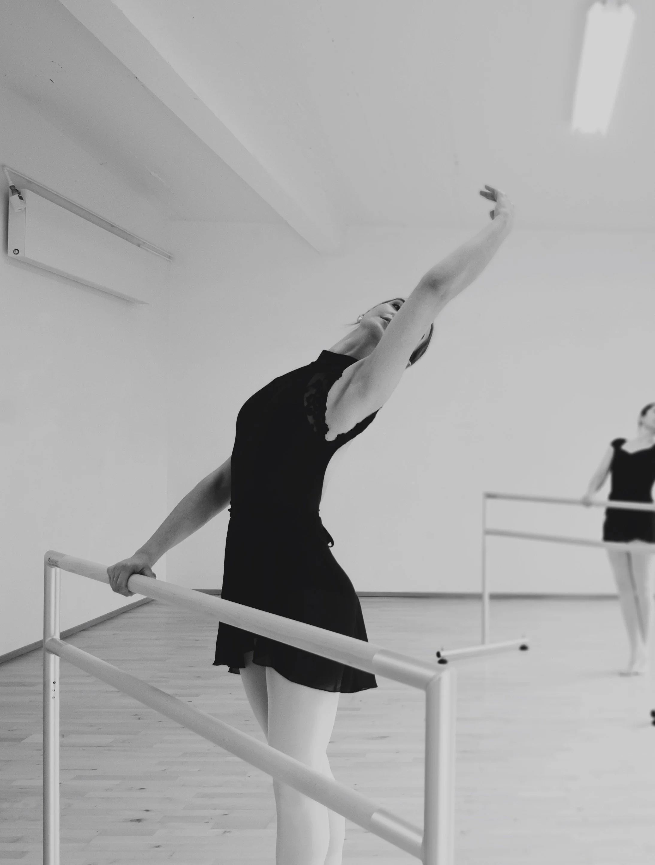 Ballett Basics Theorie