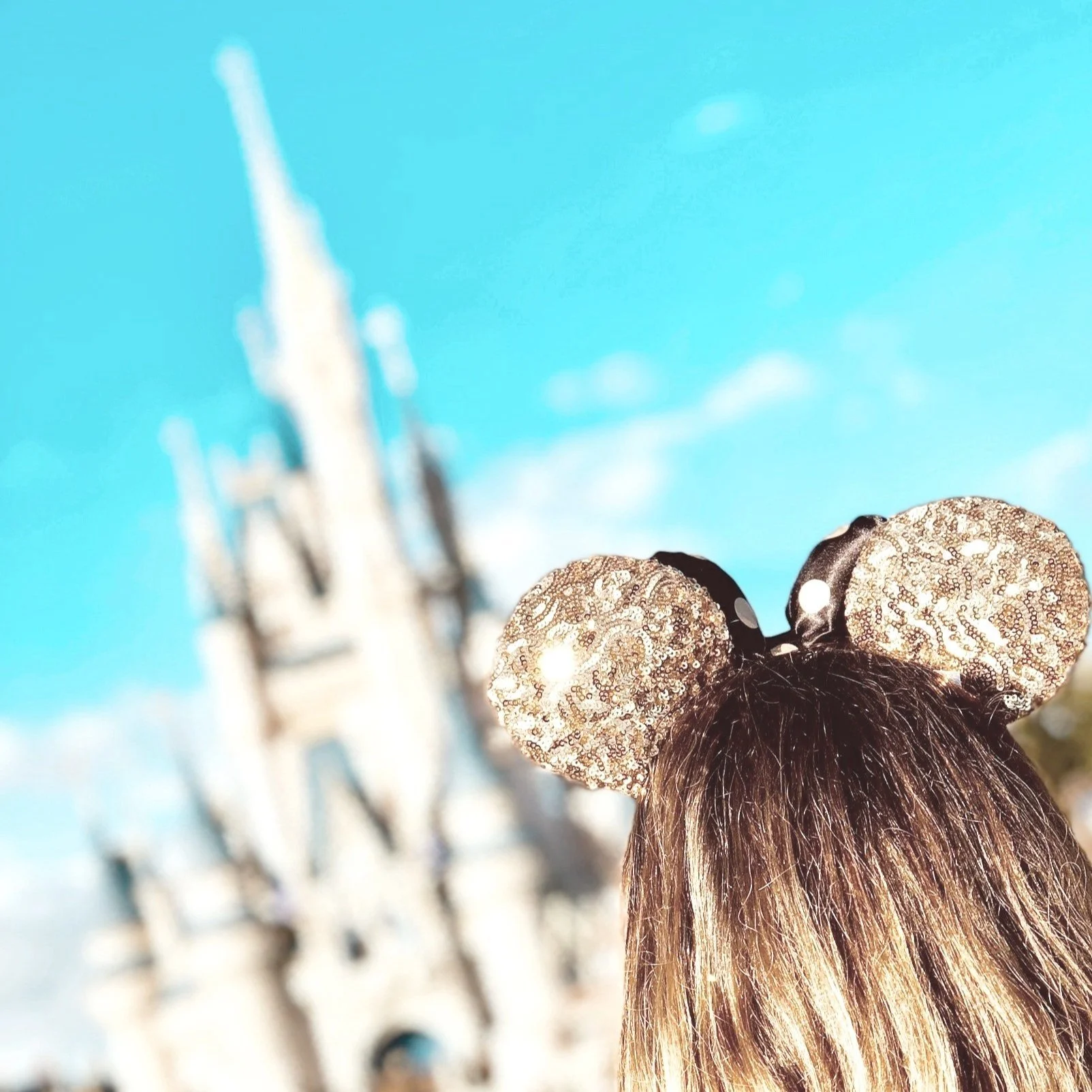 Ballett Basics meets Disney (Online Fortbildung)