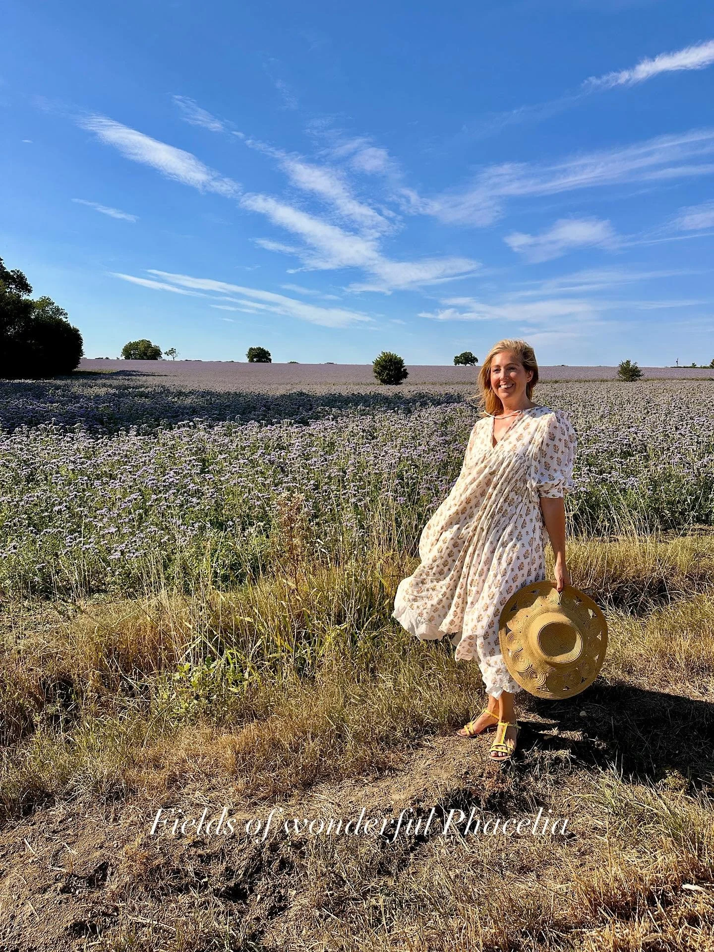 @myenglishcountrycottage recent partnership with @comtecheeseuk 🧀