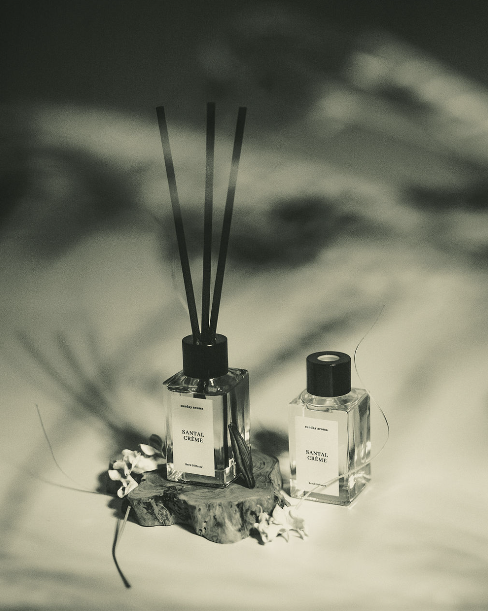 Screenshot 2025-12-18 at 6.30.24 PM.png