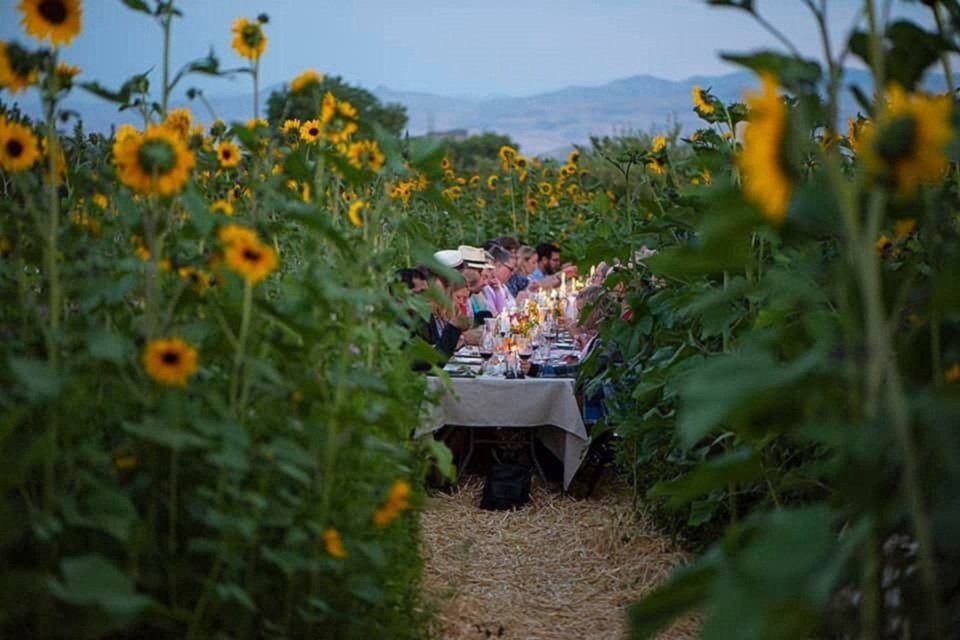Farm To Fork Dinner