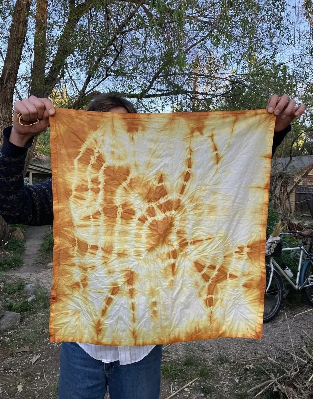 Indigo and Flower Dyeing