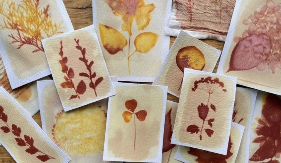 Turmeric Anthotype Sun Printing
