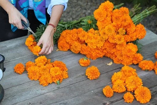 Marigold Garland Making