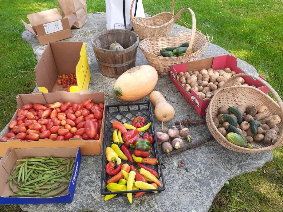 Get Involved — Borders Farm Preservation, Inc.