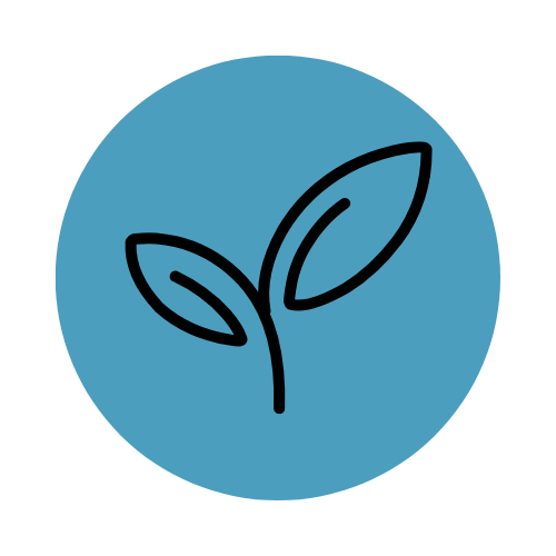 Untitled design (2).png