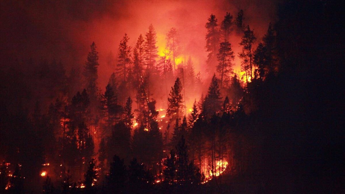 Controlled Burns