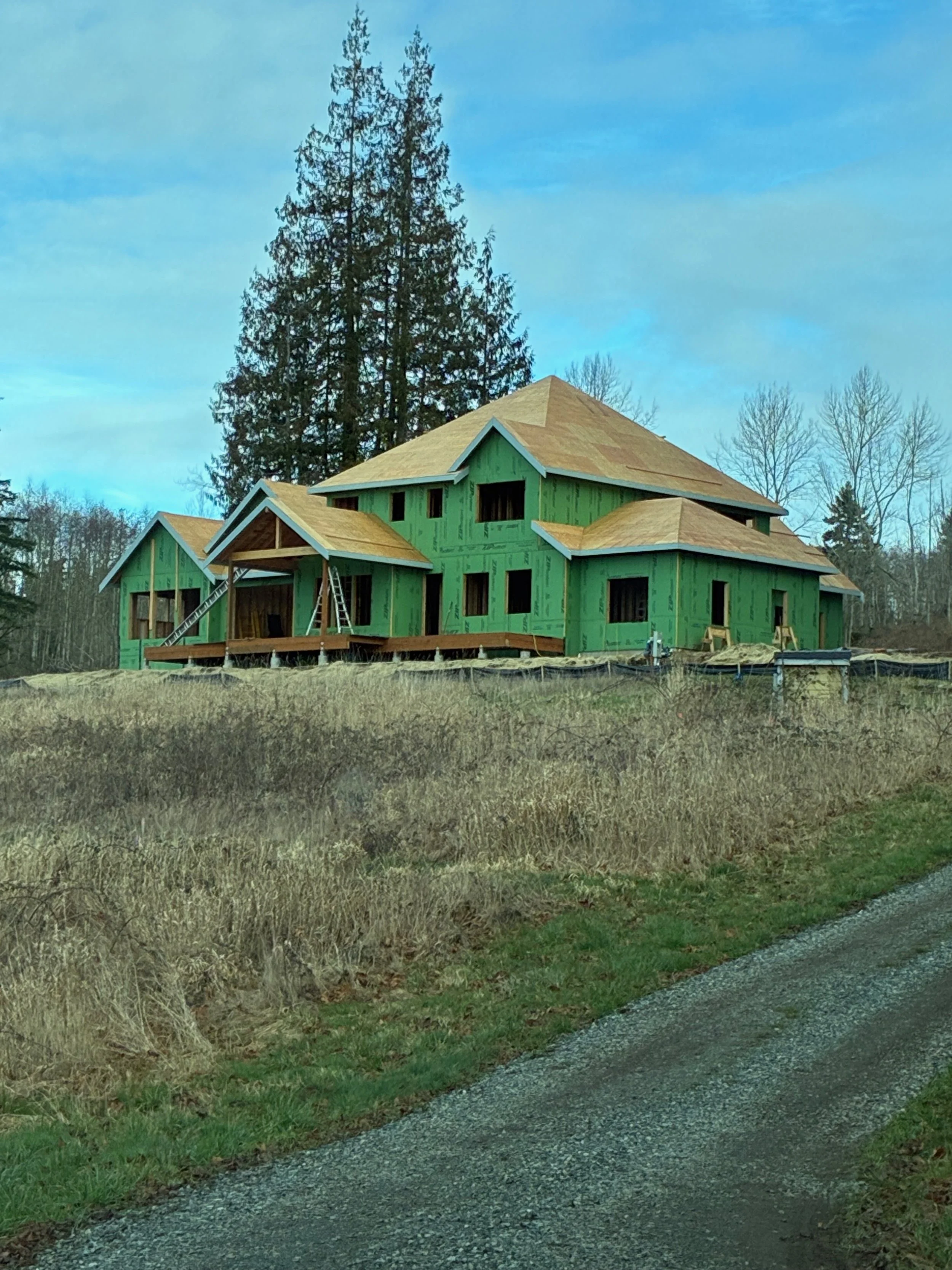 A house under construction with green siding and unfinished roof, surrounded by trees and grassy land, with a gravel pathway in the foreground.